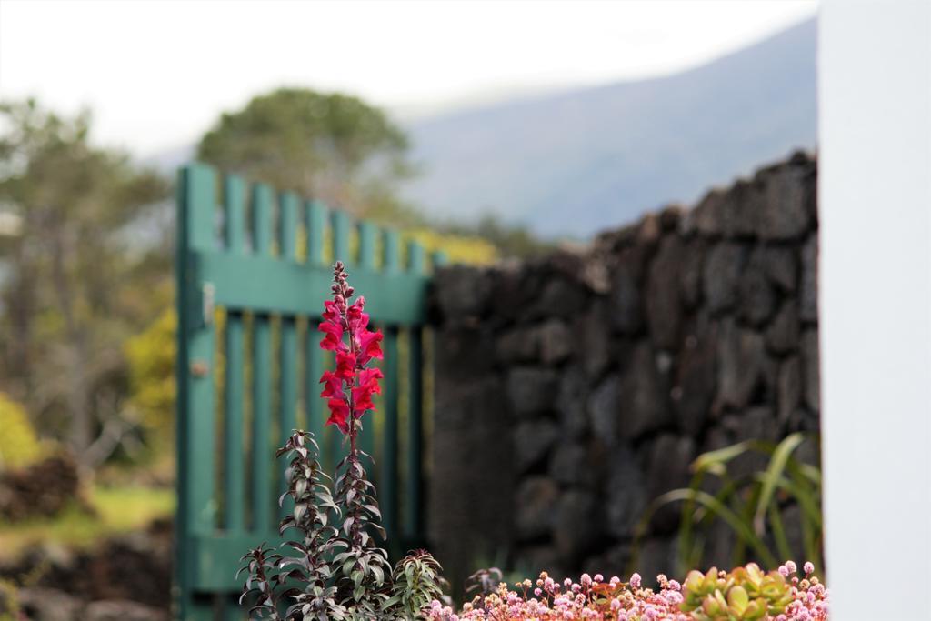 Casa Do Paim Villa São Roque do Pico Exterior photo