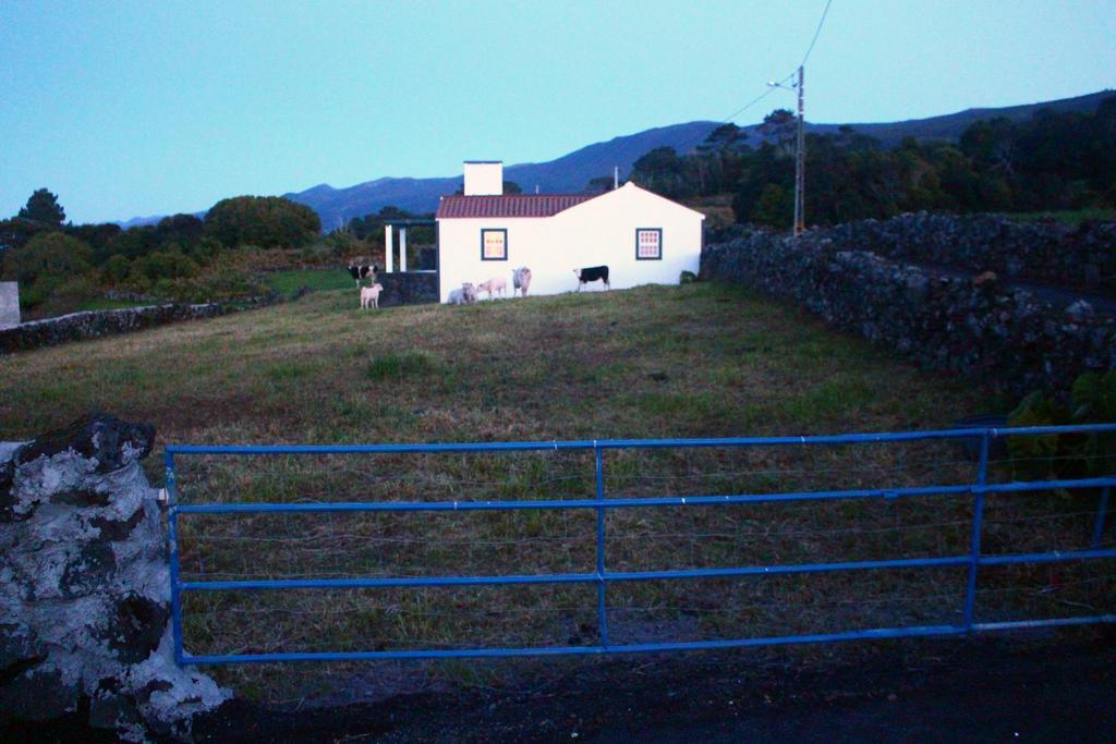 Casa Do Paim Villa São Roque do Pico Exterior photo