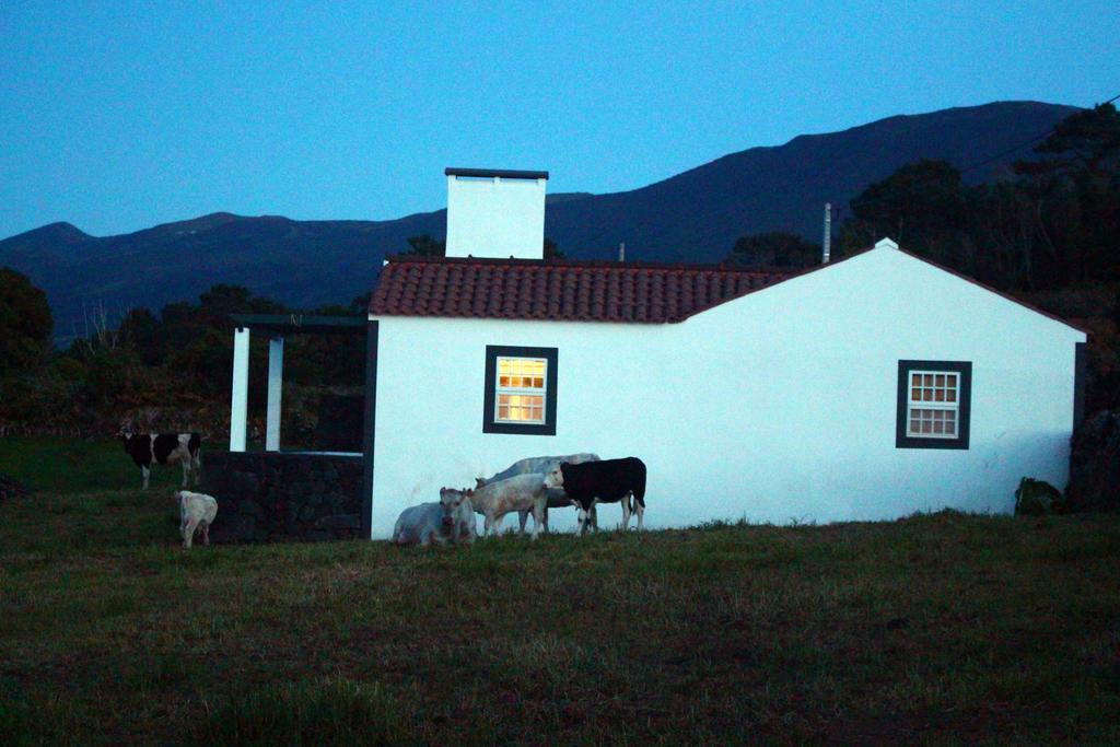 Casa Do Paim Villa São Roque do Pico Exterior photo